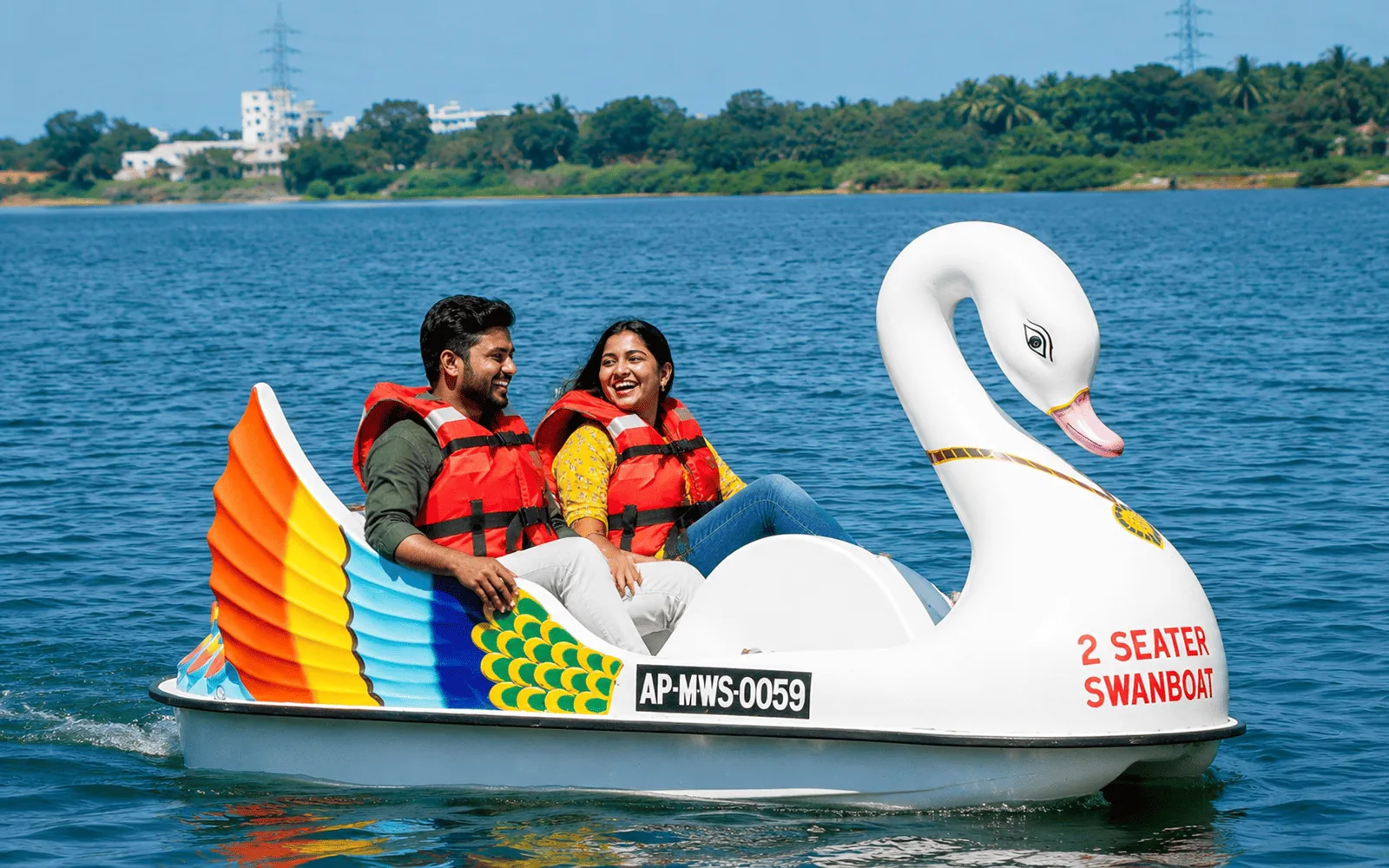 Swan Boat